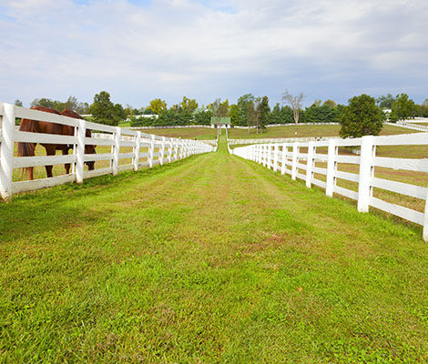equestrian_fence