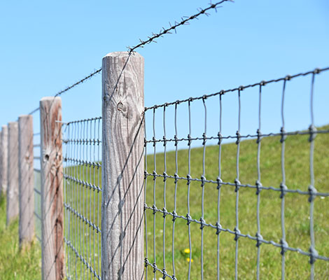wire_fencing